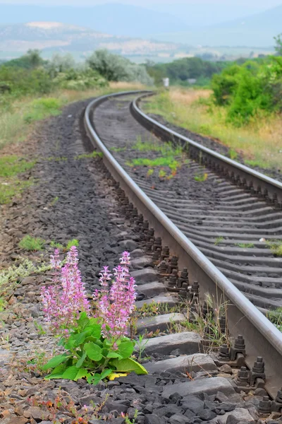 Railroad tracks — Stockfoto