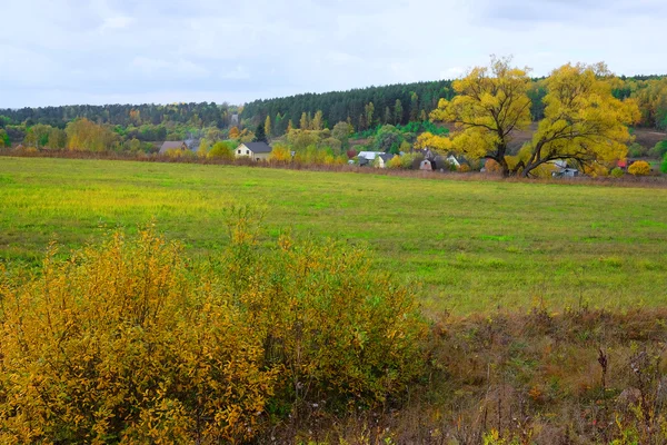 Höst äng — Stockfoto