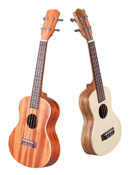 Guitarra hawaiana — Foto de Stock