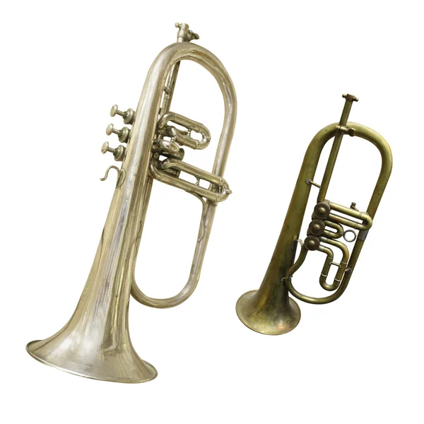 Trumpet isolerade — Stockfoto