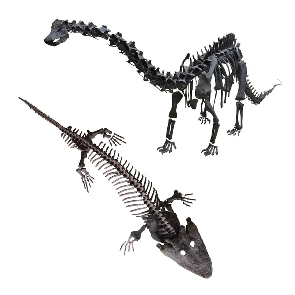 恐龙的骨架 — 图库照片