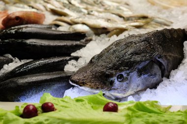 bir tezgahın üzerinde balık