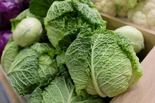 Cabbage — Stock Photo, Image