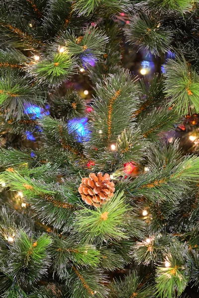 Xmas tree — Stock Photo, Image