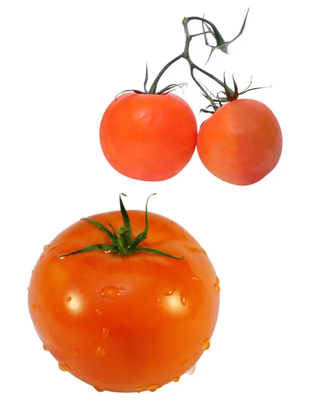 Two tomatos — Stock Photo, Image
