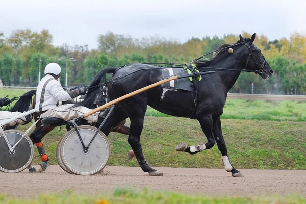 Häst och ryttare på en hästkapplöpning — Stockfoto