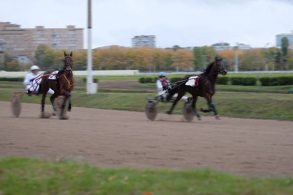 Riders on a horses race at the track — Stock Photo, Image