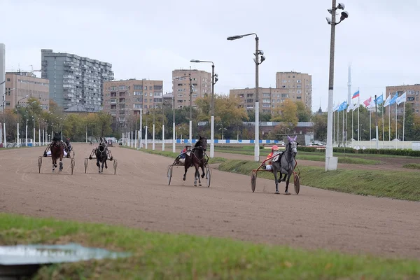 Jinetes en una carrera de caballos en la pista — Foto de Stock