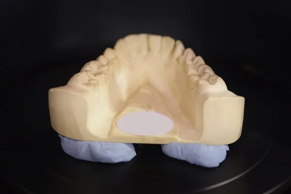 Diş spesiyaliteleri — Stok fotoğraf