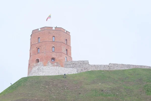 Tower of Gediminas — Stock Photo, Image