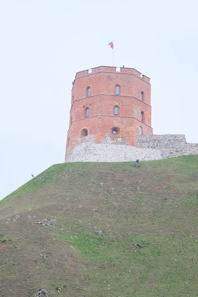 Torre de gediminas — Fotografia de Stock