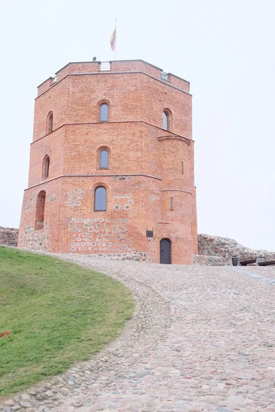 Torre di Gediminas — Foto Stock