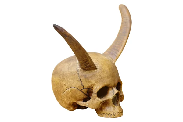 A bika szarvai koponya — Stock Fotó
