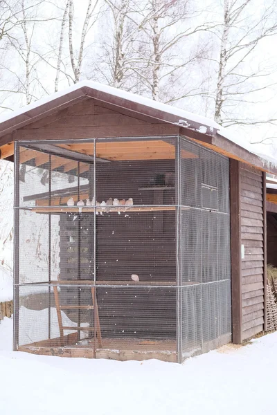 Imagen de una casa de huéspedes en un resort — Foto de Stock