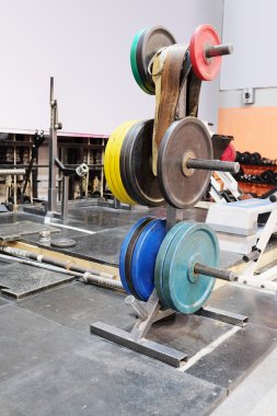 Halter plaka sahibi raf