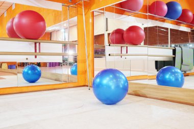 Görüntü pilates topu