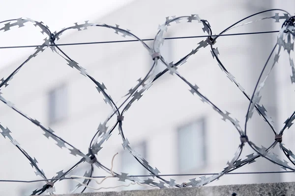 Closeup barbed wire — Stock Photo, Image