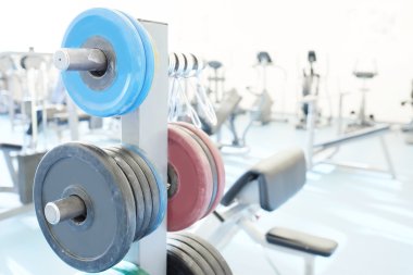 spor salonunda karakeçi ağırlıkları