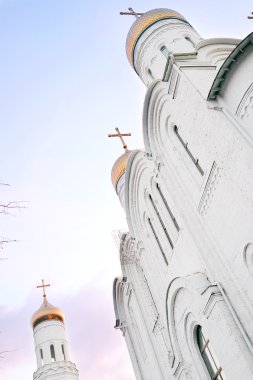 Bryansk kutsal Trinity Katedrali