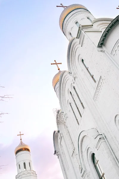 Katedralen i Heliga trefaldighetskyrkan i Bryansk — Stockfoto