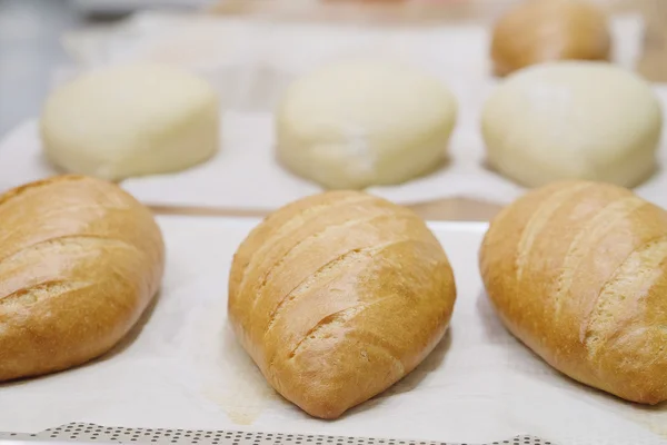 Pane fresco in panetteria — Foto Stock