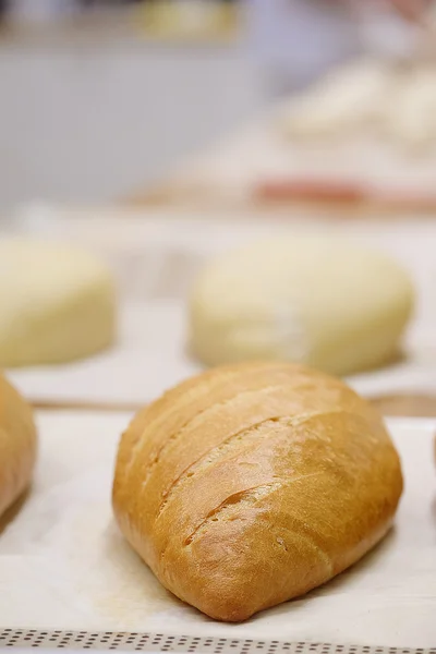 Färskt bröd i bageriet — Stockfoto