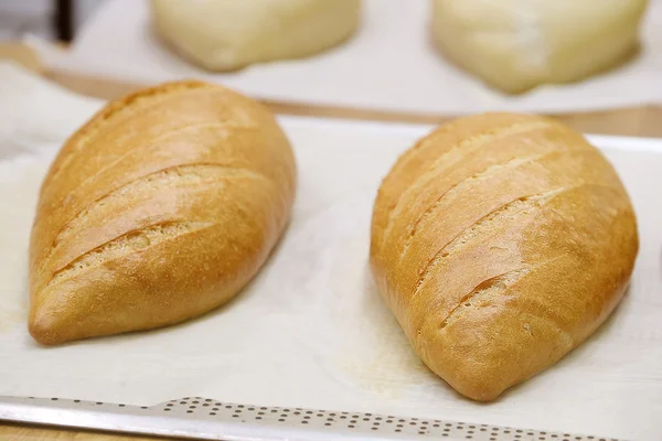 Pâine proaspătă în brutărie — Fotografie, imagine de stoc