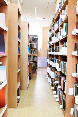 Kütüphane kitap rafları ile iç