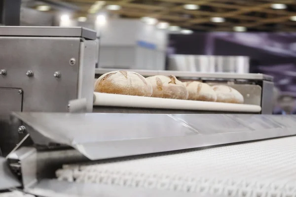 Baked breads on production line y — Stock Photo, Image