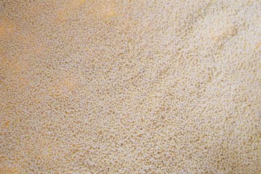 Tarım darı arka plan