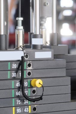 Fitness salonunda wights