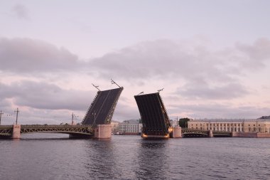 Palace bridge St Petersburg, Rusya Federasyonu