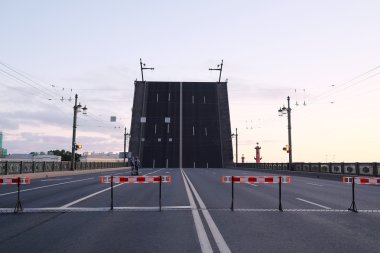 Palace bridge St Petersburg, Rusya Federasyonu