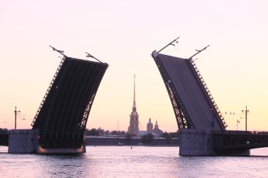 Palace bridge  in St. Petersburg, Russia clipart