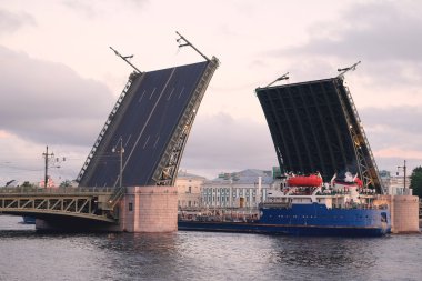 Palace bridge St Petersburg, Rusya Federasyonu