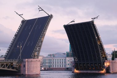 Palace bridge  in St. Petersburg, Russia clipart