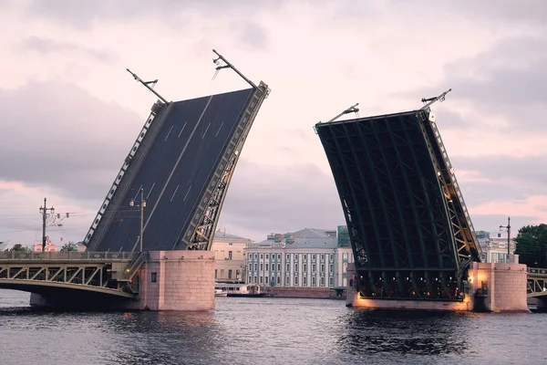 Palace bridge  in St. Petersburg, Russia — Stock Photo, Image