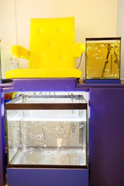 Görüntü soyma bir balık