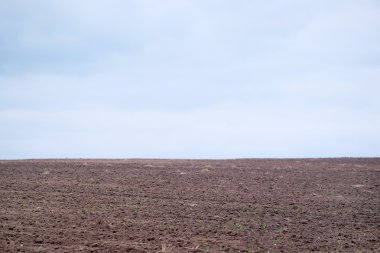 Image of empty field