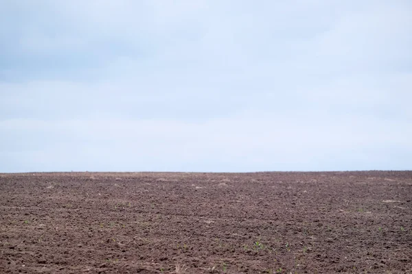 Image of empty field — Stockfoto