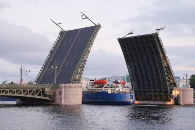 St. Petersburg 'daki Saray Köprüsü