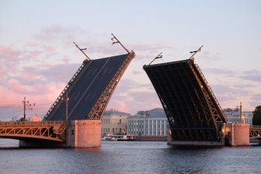 St. Petersburg 'daki Saray Köprüsü