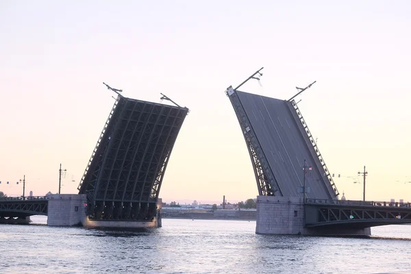 Palastbrücke in St. Petersburg — Stockfoto