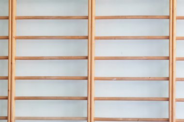 Bir jimnastik salonu barlarda duvar