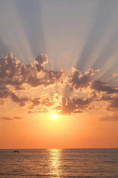 Paisaje con puesta de sol de mar — Foto de Stock