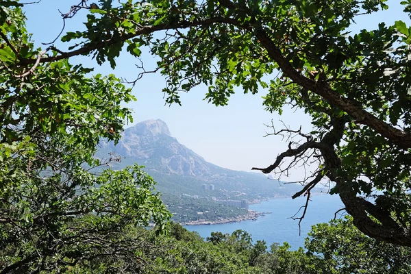 Krim berg och Svarta havet — Stockfoto