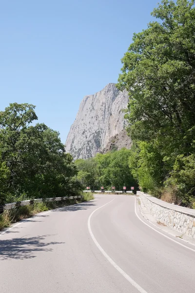 Paesaggio con l'immagine di una strada di montagna — Foto Stock