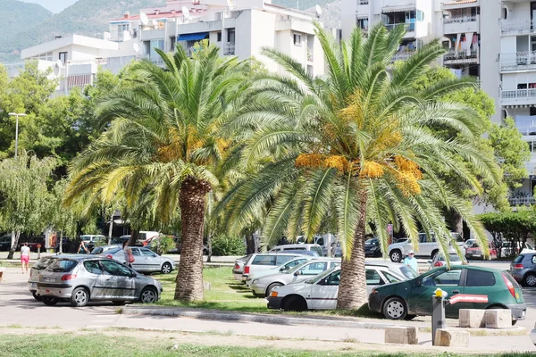 Calles de un complejo de bares en Montenegro en la temporada de terciopelo —  Fotos de Stock