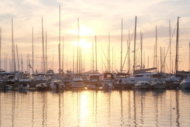 Tekne içinde barda koyu