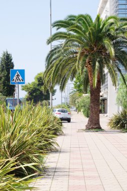 Bir tatil beldesi sokaklarında Bar Karadağ